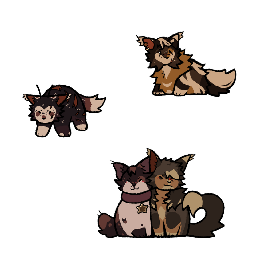 Anthro Flats Anthro Flats
