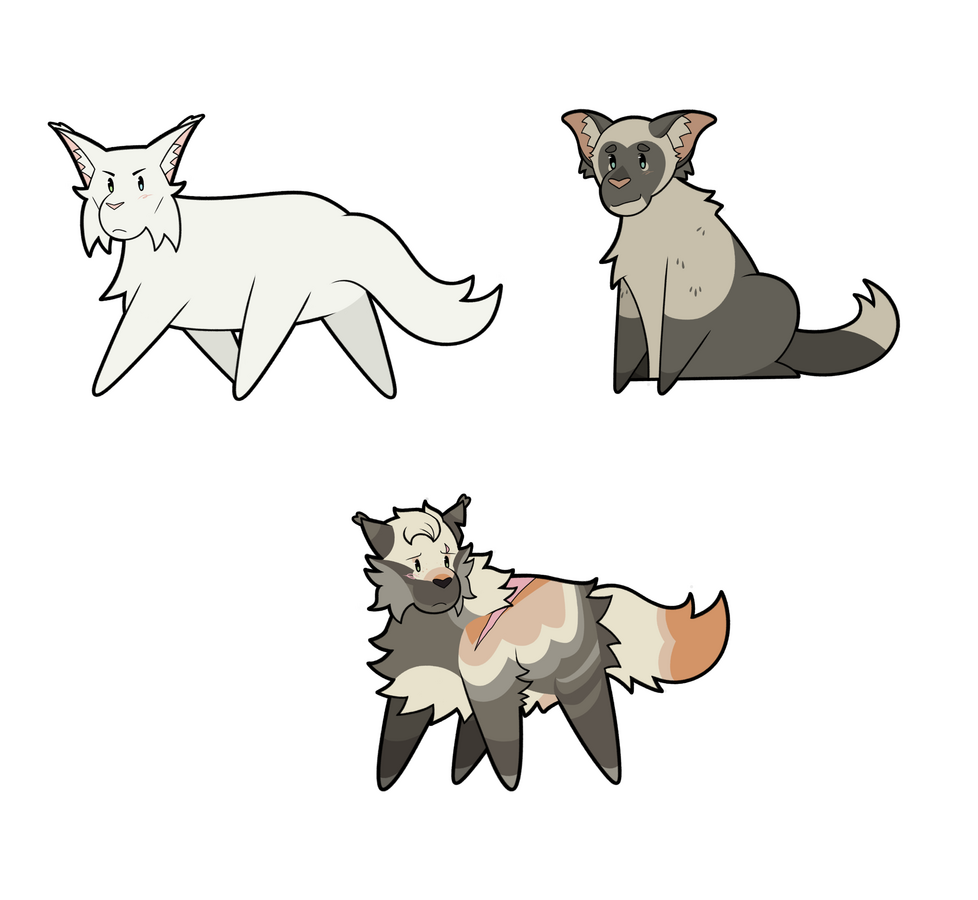 Anthro Flats Anthro Flats